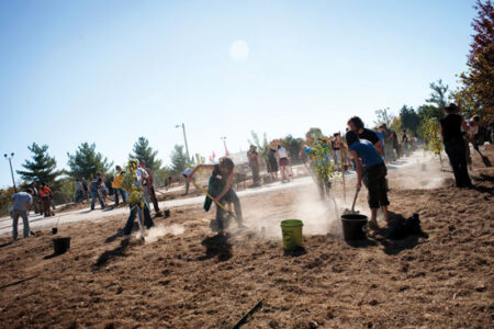 Building Fences At Bloomington Community Orchard